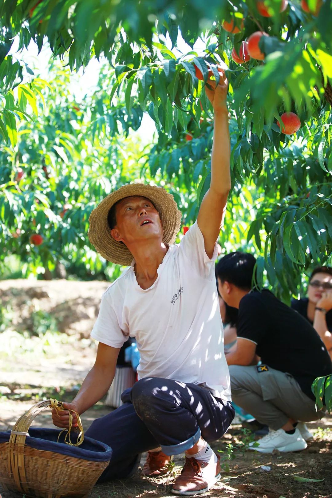 国产欲妇 促进社会主义文化繁荣发展海报