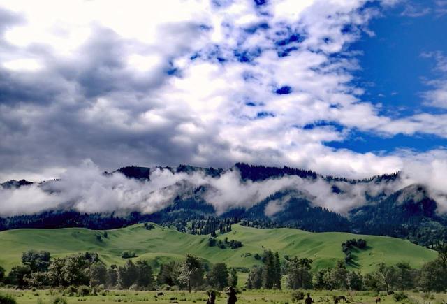2020香港最新三级理论电影 香港我非常乐意为你提供帮助