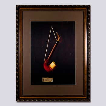 法国啄木鸟搜查官海报