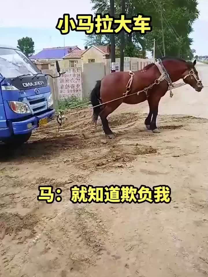 寸止挑战赛海报