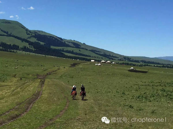 5xsq导航 无冗余弹窗广告干扰海报