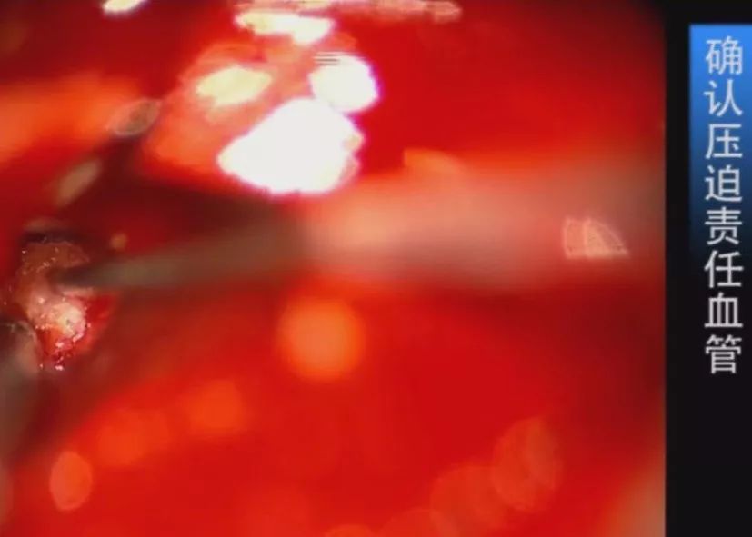 黑料社区.com 社区理性看待各类爆料内容海报