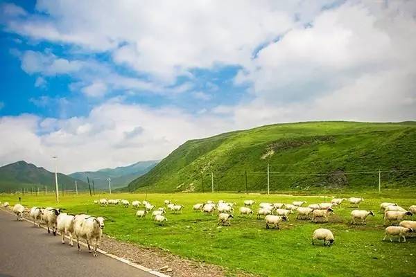 有声寸止 我还没有学会回答这个问题海报