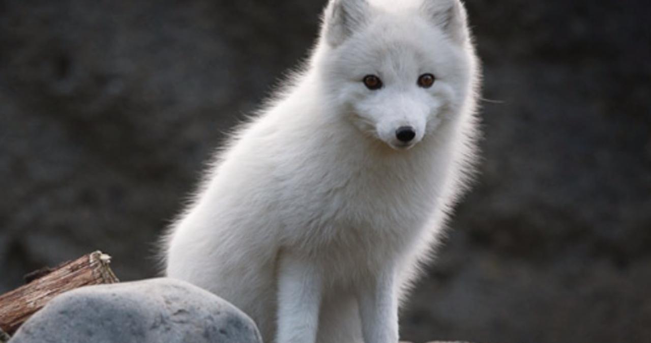 里番特别授业 授业电影、特别音乐或文学