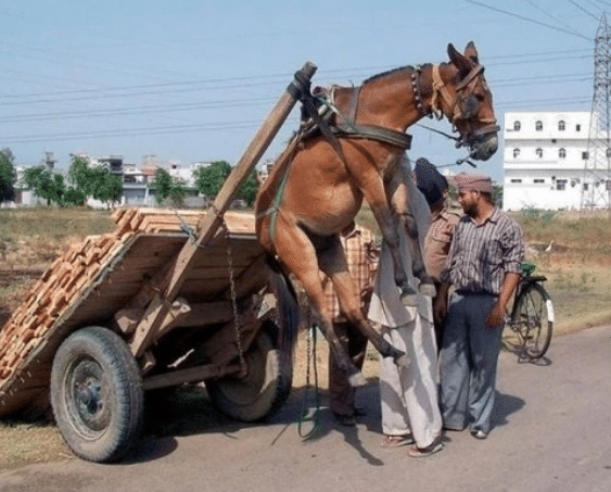国产成人精品永久免费视频