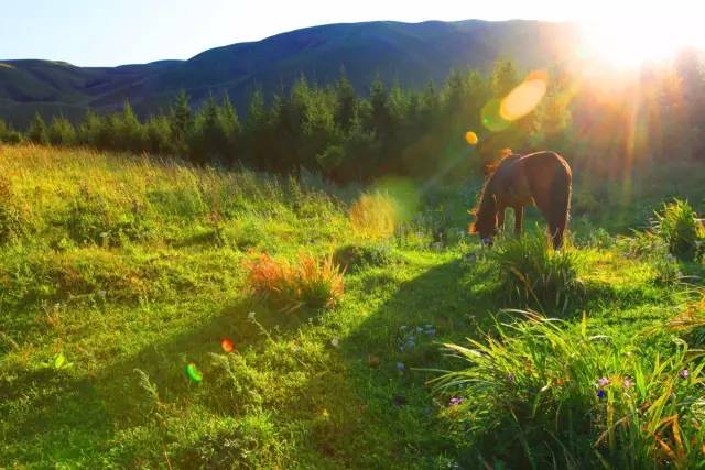 最新视频发布页海报