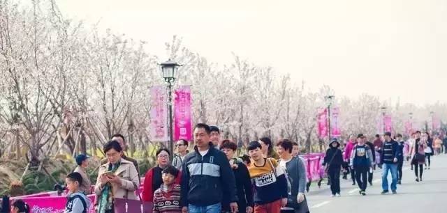 精品亚洲视频免费观看网站 高清的亚洲观影体验