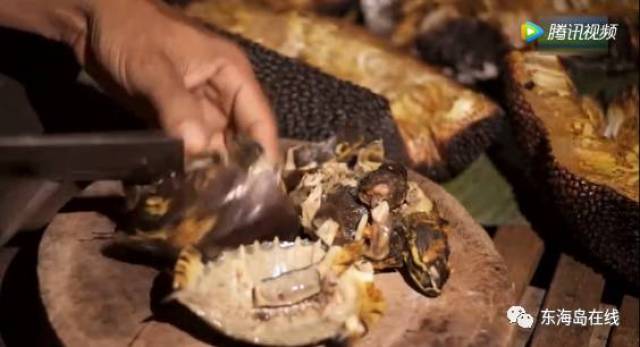 欢迎来到岛上里番 海报