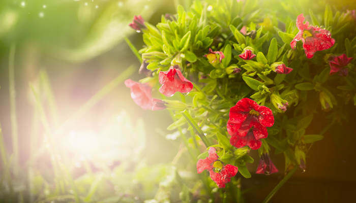 日本亚欧热亚洲乱色视频 日本热亚甚至涉及不当题材