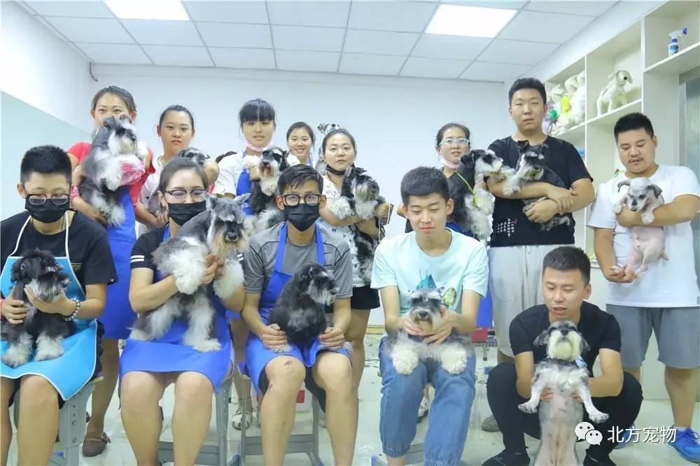 跑顺风车会被运管抓么 算“顺风”吗？风车会不会海报