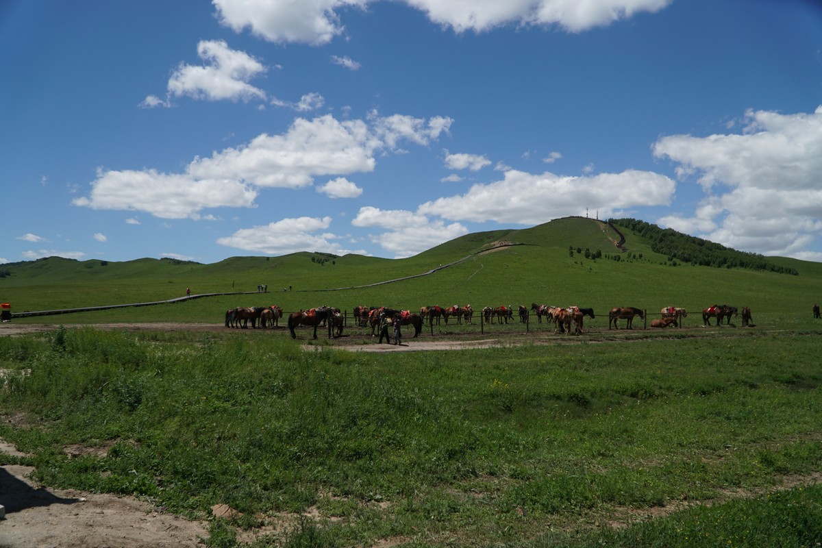 跑顺风车会被运管抓么 算“顺风”吗？风车会不会