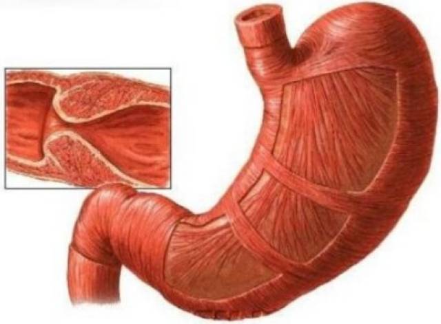 91爆料黑料 侵犯隐私及传播不实信息