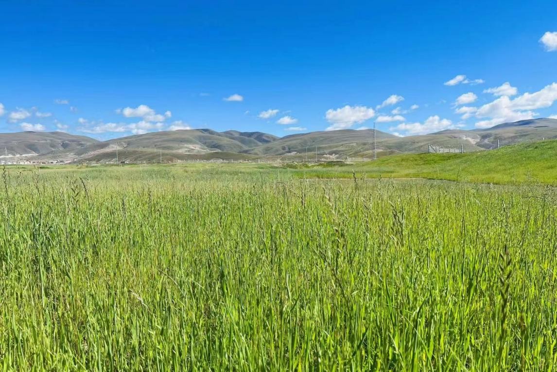 惊险 充满未知与刺激的惊险状态里