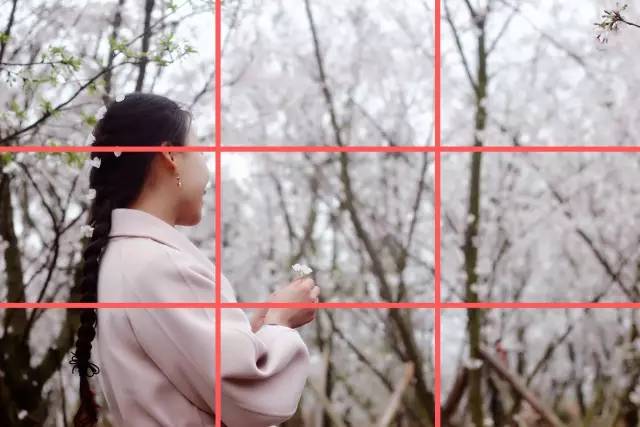 娱乐圈黑料最多的明星海报