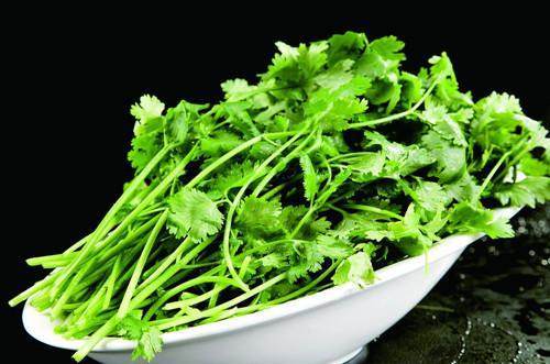 婶婶的诱惑 小说 海报