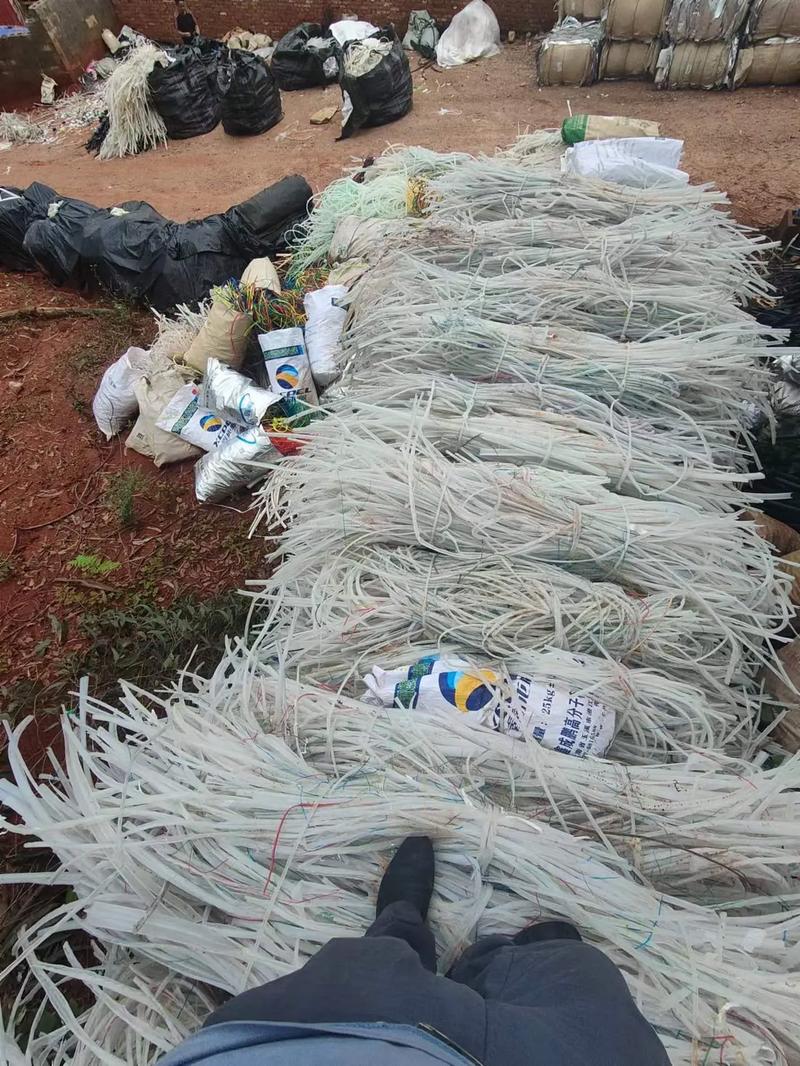 桥本香菜和台北娜娜海报