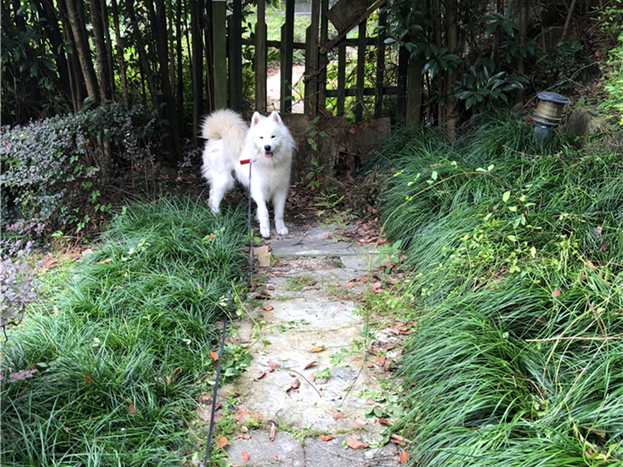 51吃瓜大赛在线观看 可持续的线观社区生态海报