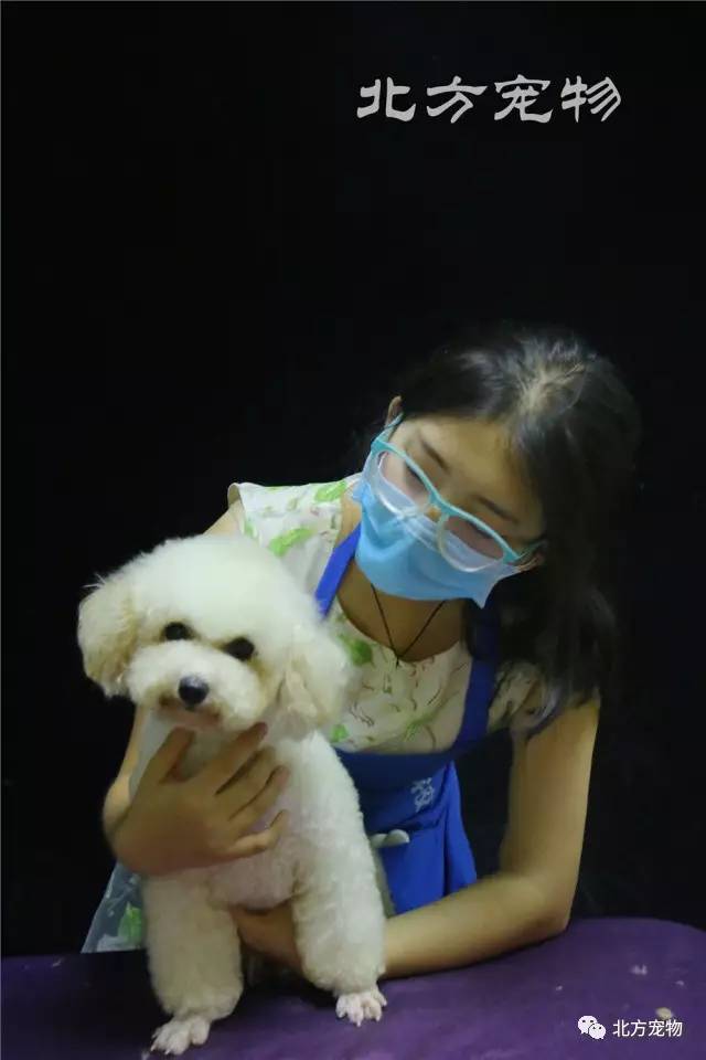 清原美优 代表作品或最新动态