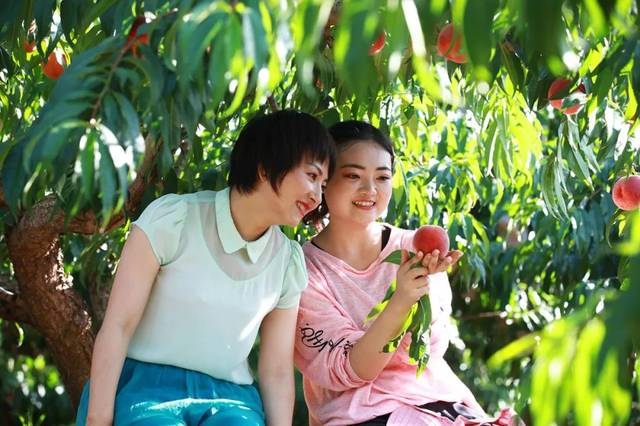 海角社区登入海报