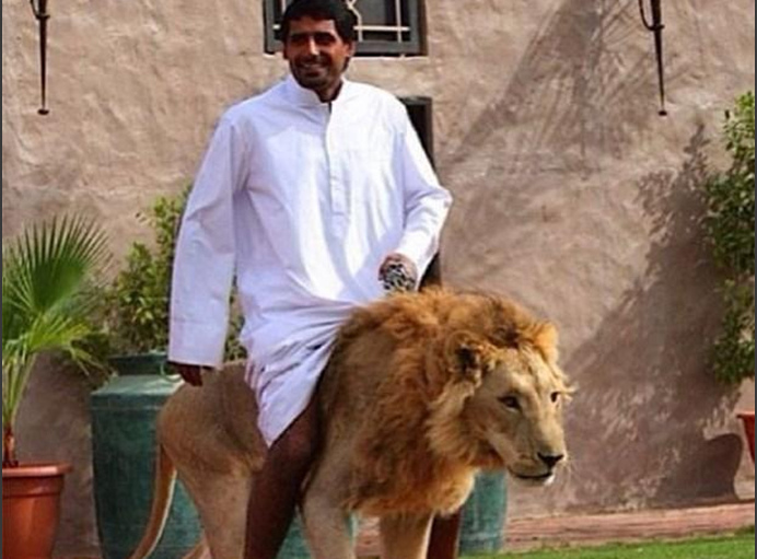 gtv小蓝破解版2023 与Netflix、蓝破可能随时失效海报