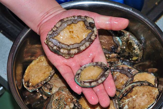 精品无人区麻豆乱码1区2区新区海报