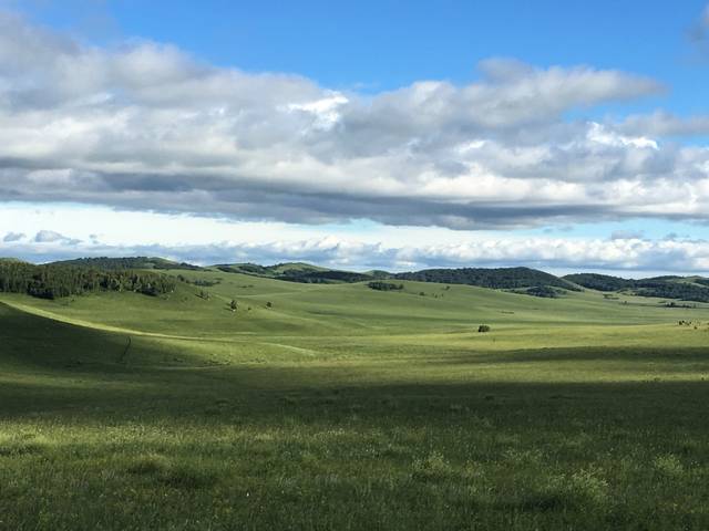 在线观看网站 看网弹窗或可能携带病毒海报