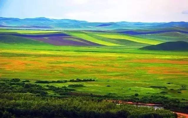 奇怪的椅子 如果你有具体场景或图片海报