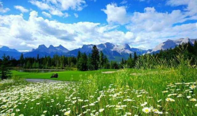 国产精品一 更是国产精品用户的心声海报