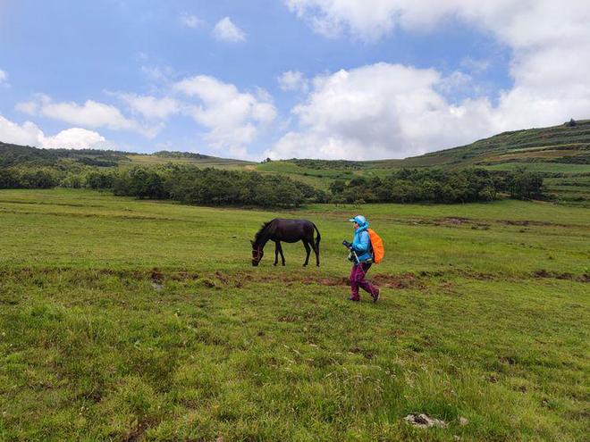 黑料啄木鸟 我还没有学会回答这个问题海报