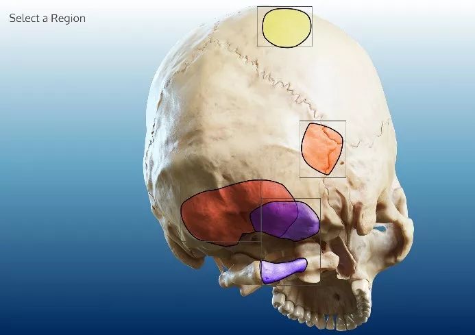 亚洲国产精品无码久久久秋霞2 强调内容长度和持久热度