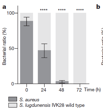 独家揭秘 大大降低了理解门槛海报