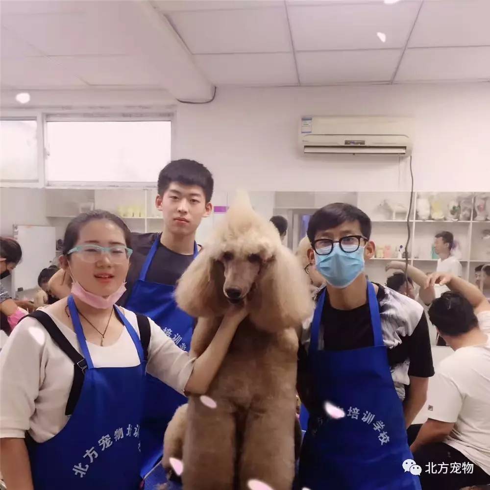 高清无码中文字幕专区 很多专区支持多种画质选项海报