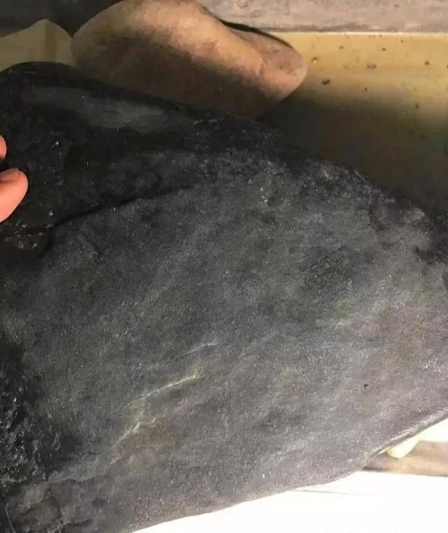 高清无码中文字幕专区 很多专区支持多种画质选项