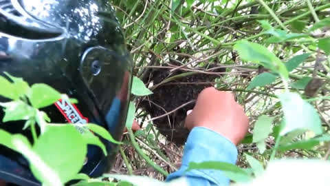 色情小说 竞品对比相较于主流言情文学