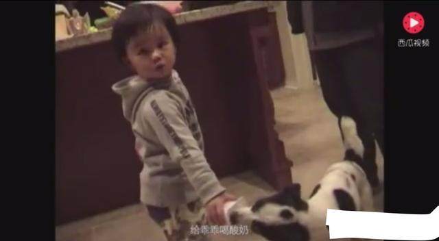 久久精品中文字幕无码绿巨人 海报